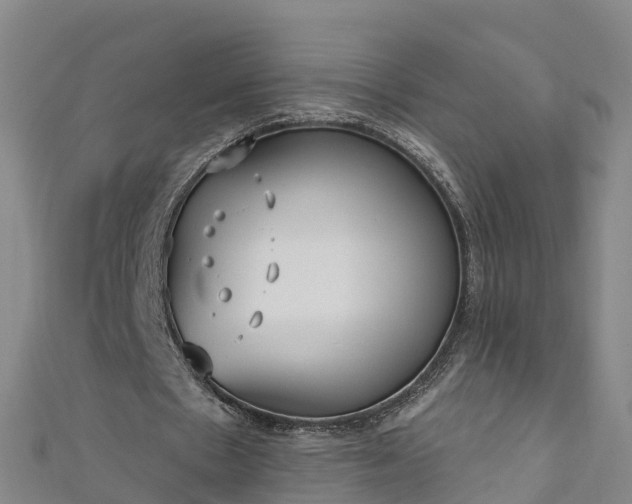 X0000111180481200907081238