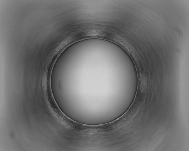 X0000111180482200907081238