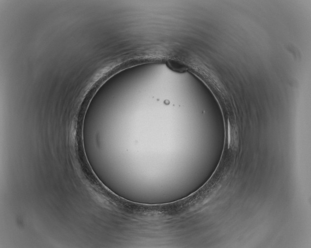 X0000111180483200907081238