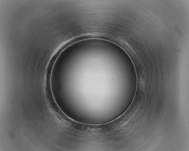 X0000111180484200907081238