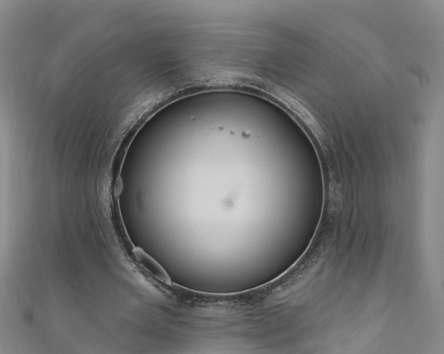 X0000111180485200907081238