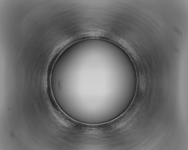 X0000111180486200907081238