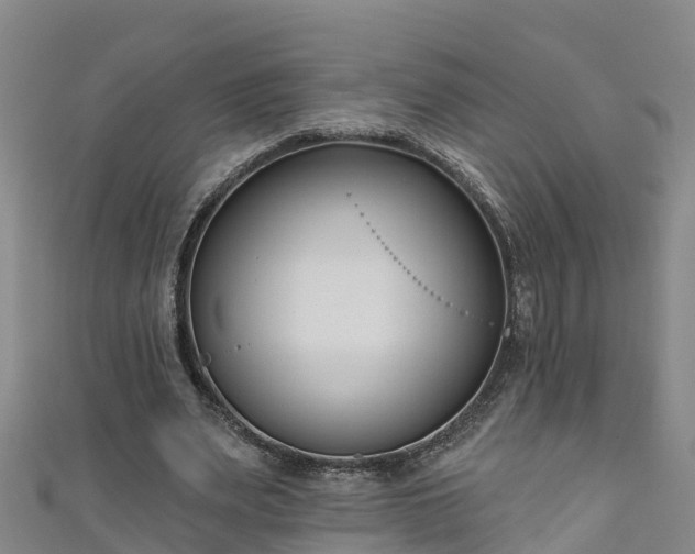 X0000111180487200907081238