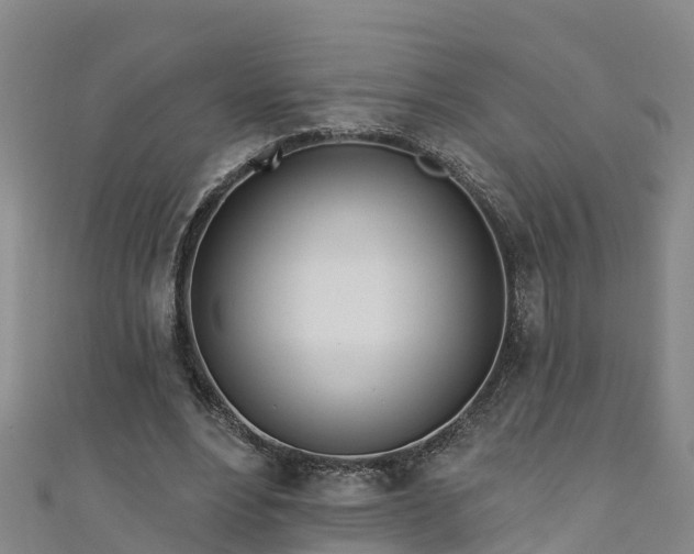 X0000111180488200907081238