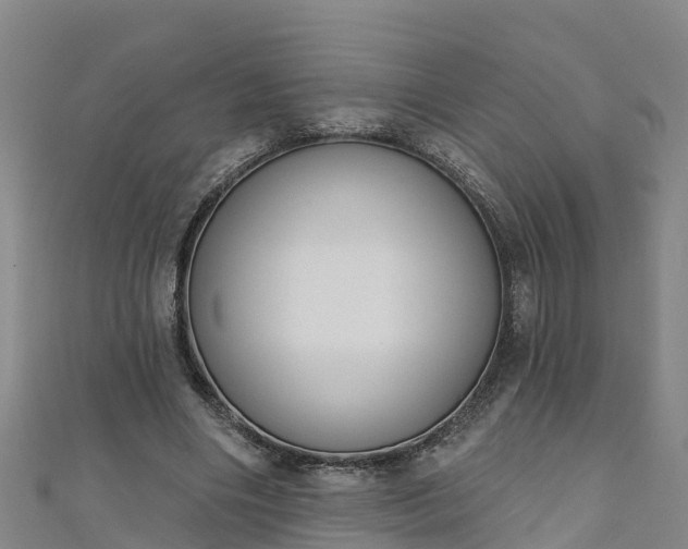 X0000111180490200907081238