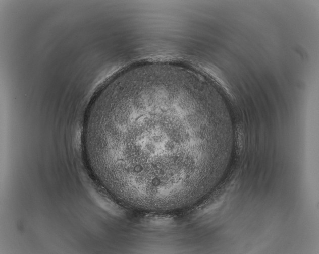 X0000111180491200907081238