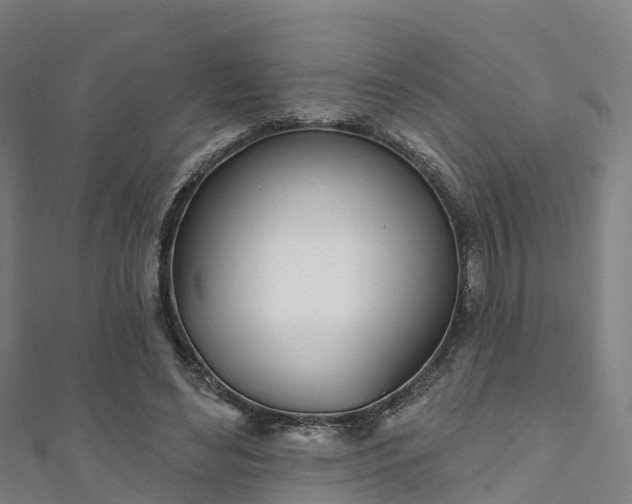 X0000111180492200907081238