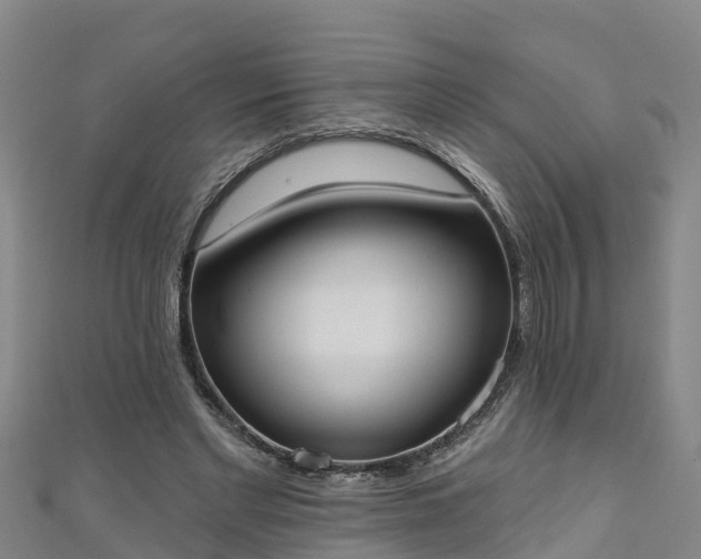 X0000111180493200907081238