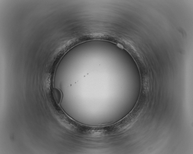 X0000111180495200907081238