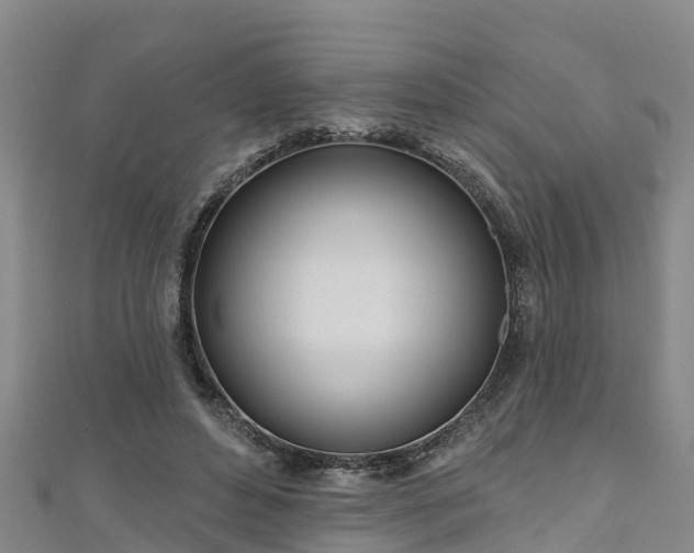 X0000111180496200907081238