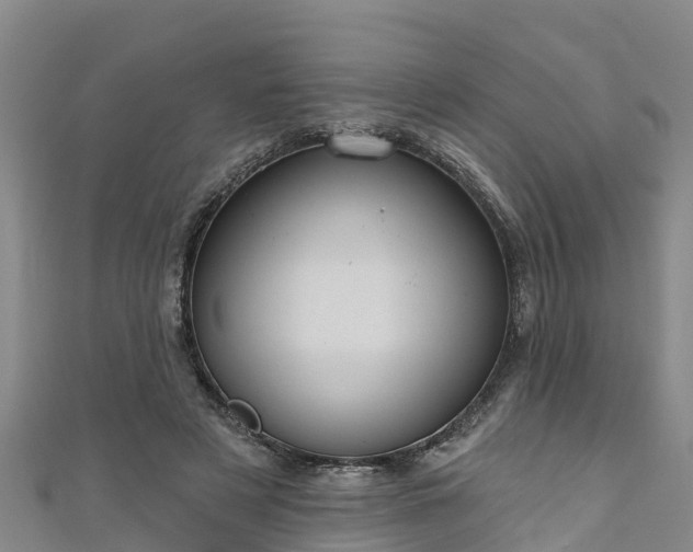 X0000111180497200907081238