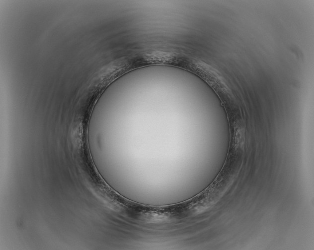 X0000111180498200907081238