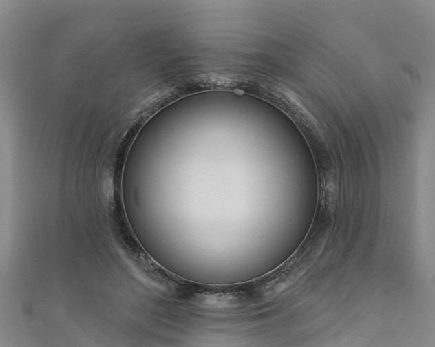 X0000111180500200907081238