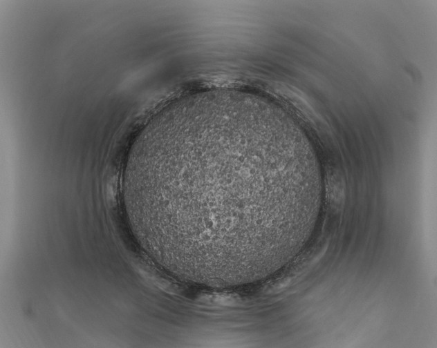 X0000111180503200907081238