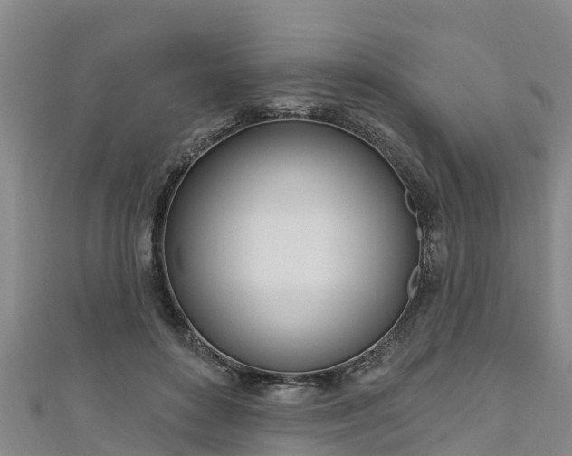 X0000111180504200907081238