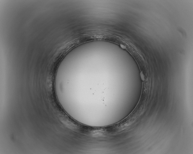 X0000111180505200907081238