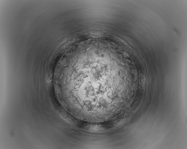 X0000111180507200907081238