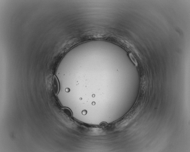 X0000111180509200907081238