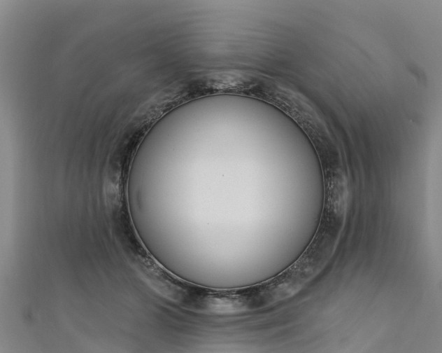 X0000111180510200907081238