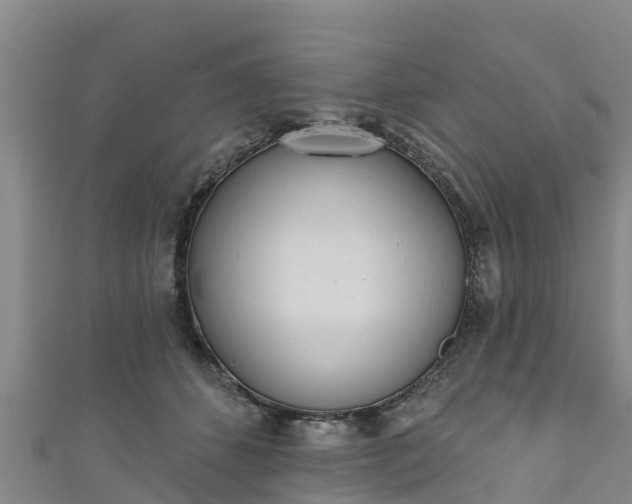 X0000111180512200907081238