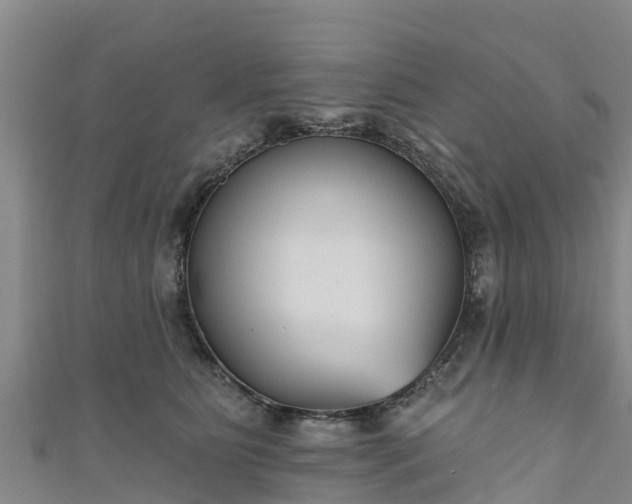 X0000111180515200907081238