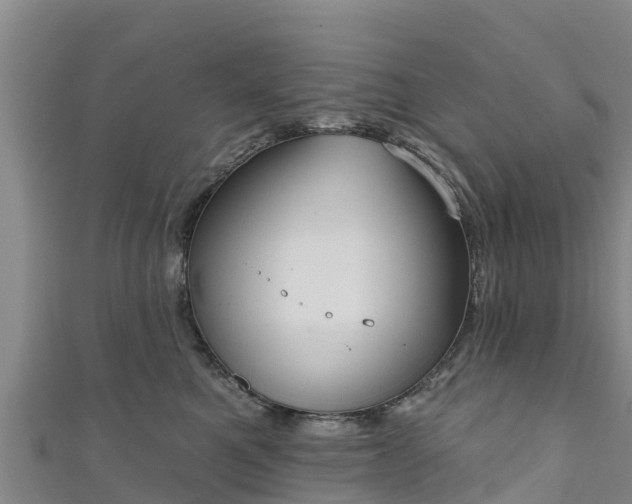 X0000111180521200907081238