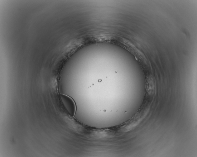 X0000111180523200907081238