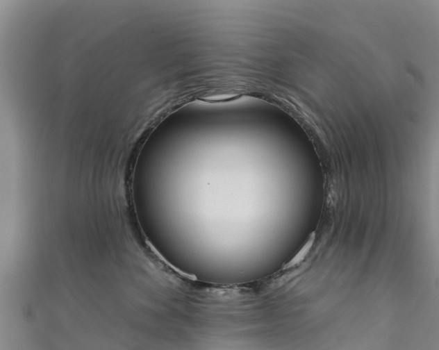 X0000111180524200907081238