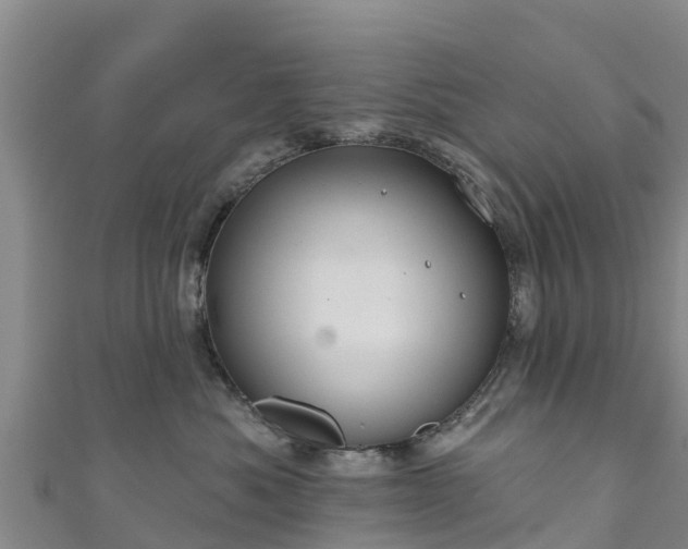 X0000111180525200907081238