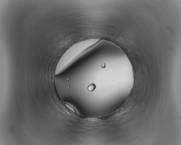 X0000111180528200907081238