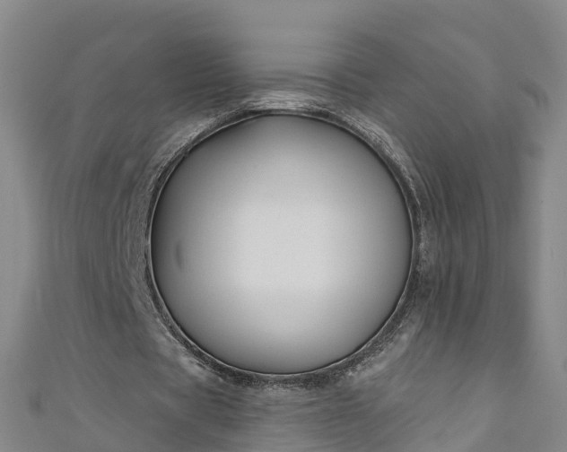 X0000111180529200907081237