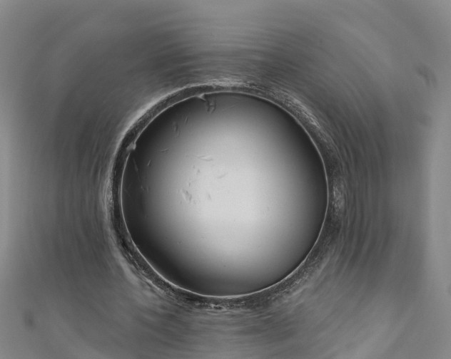 X0000111180532200907081237