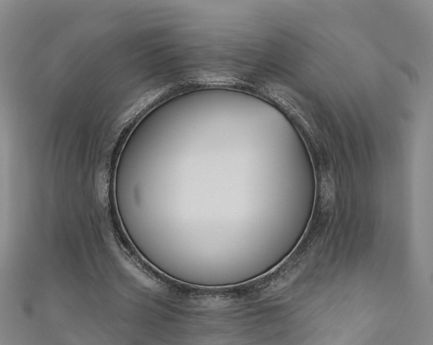 X0000111180533200907081237