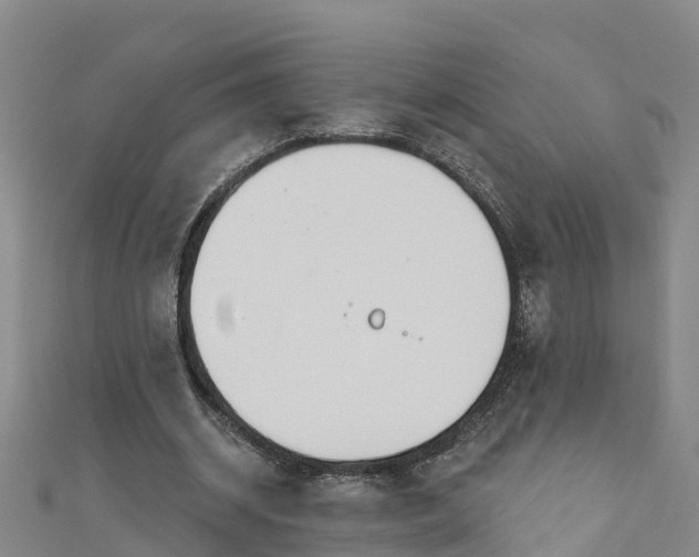 X0000111180534200907081237