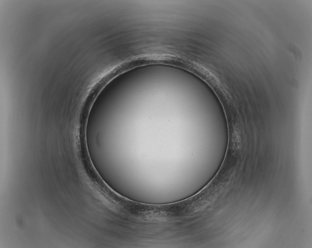 X0000111180535200907081237