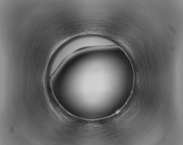 X0000111180536200907081237