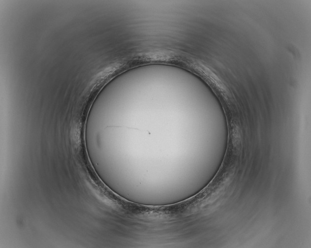 X0000111180537200907081237