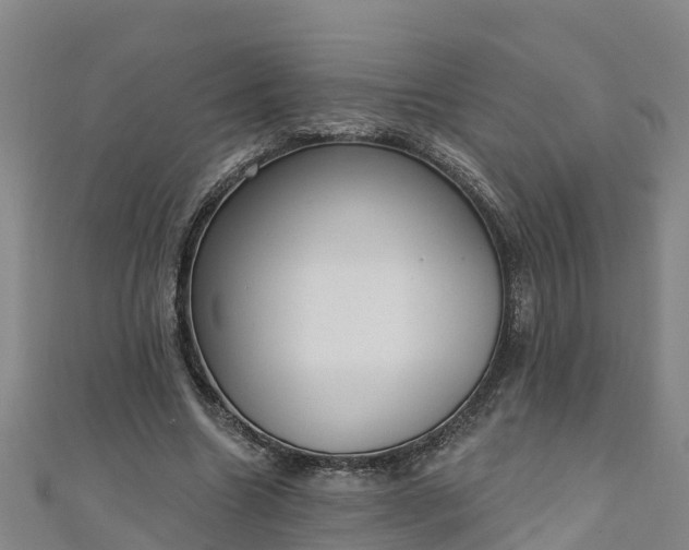 X0000111180538200907081237