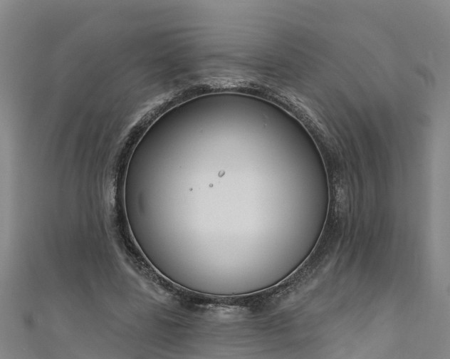 X0000111180539200907081237