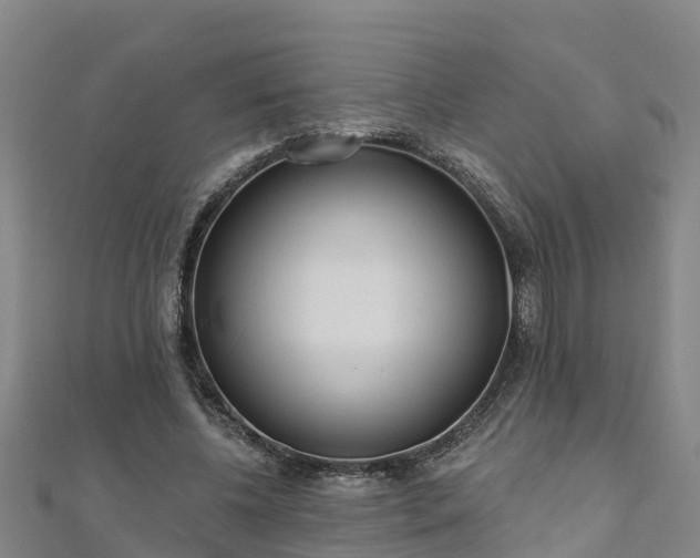 X0000111180540200907081237