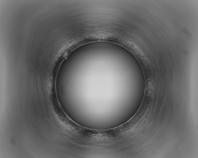 X0000111180544200907081237