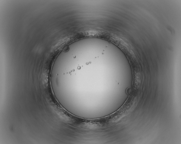 X0000111180545200907081237