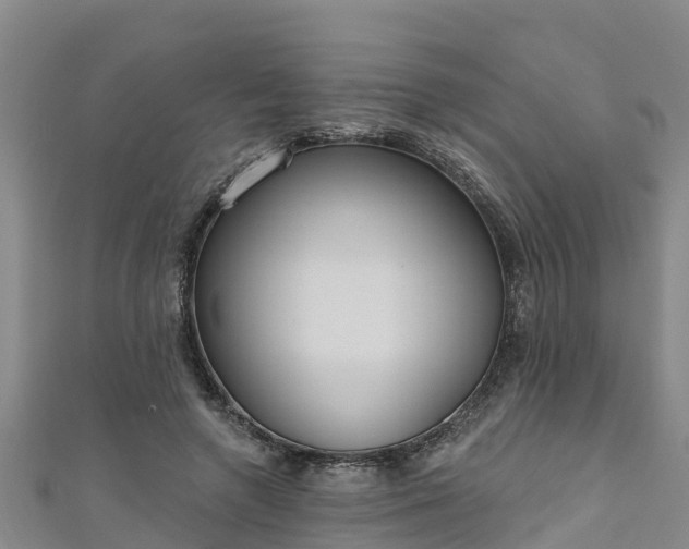 X0000111180546200907081237