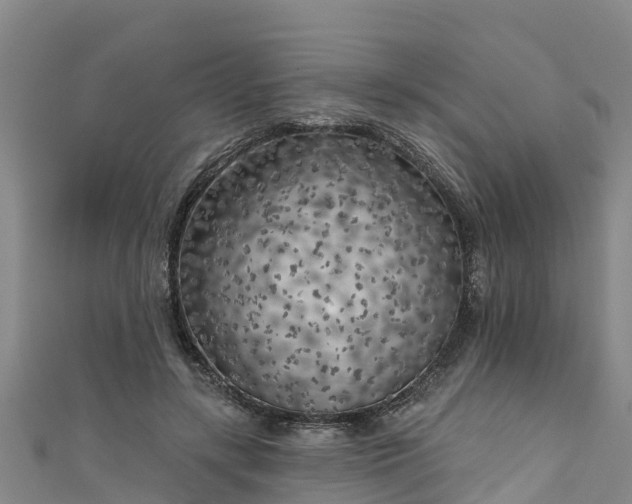 X0000111180547200907081237