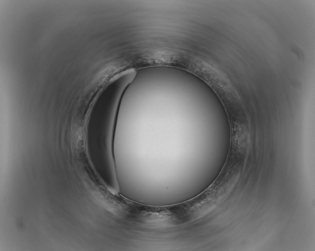 X0000111180548200907081237