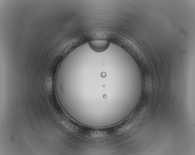 X0000111180549200907081237