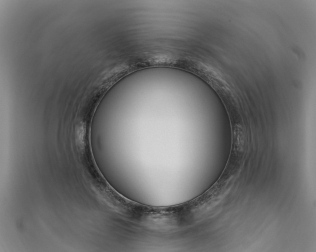 X0000111180550200907081237