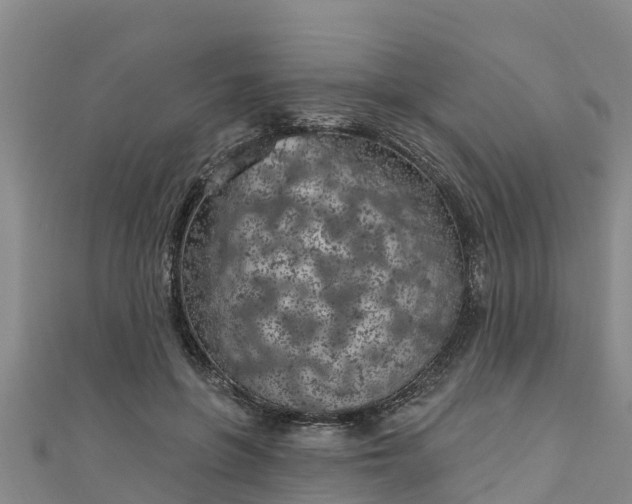 X0000111180551200907081237