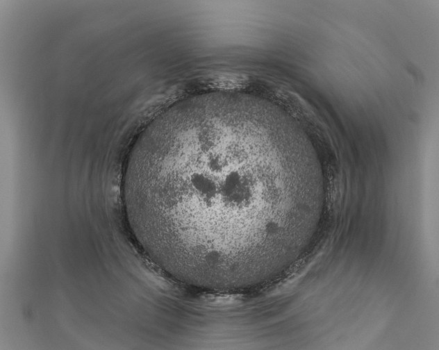 X0000111180553200907081237