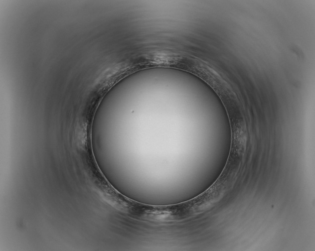 X0000111180554200907081237